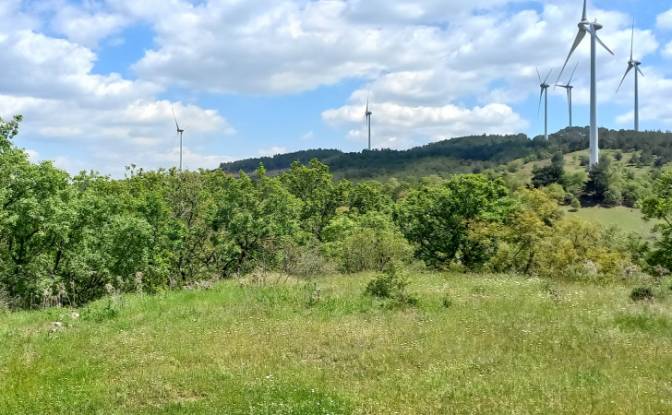 Land Lot for Sale Kocadag, Isimsiz Yol. Photo#9