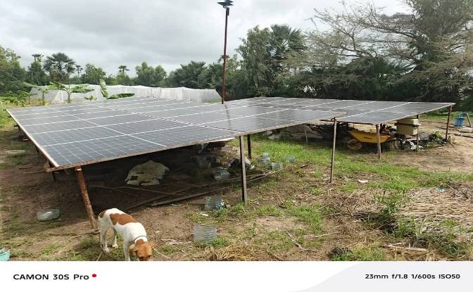 Farm/Ranch for Sale - Ngueniene, Senegal