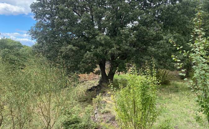 Land Lot for Sale Str Milia, 95030 Ragalna CT. Photo#12 Land Lot for Sale Str Milia, 95030 Ragalna CT. Photo#12