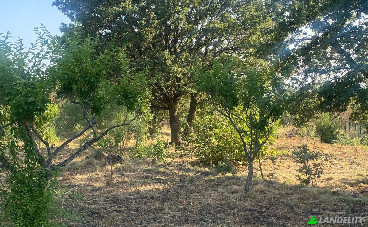 Land Lot for Sale Str Milia, 95030 Ragalna CT, Ragalna, Metropolitan city of Catania, Sicily, Italy. Photo 13