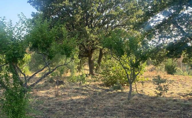 Land Lot for Sale Str Milia, 95030 Ragalna CT. Photo#13 Land Lot for Sale Str Milia, 95030 Ragalna CT. Photo#13