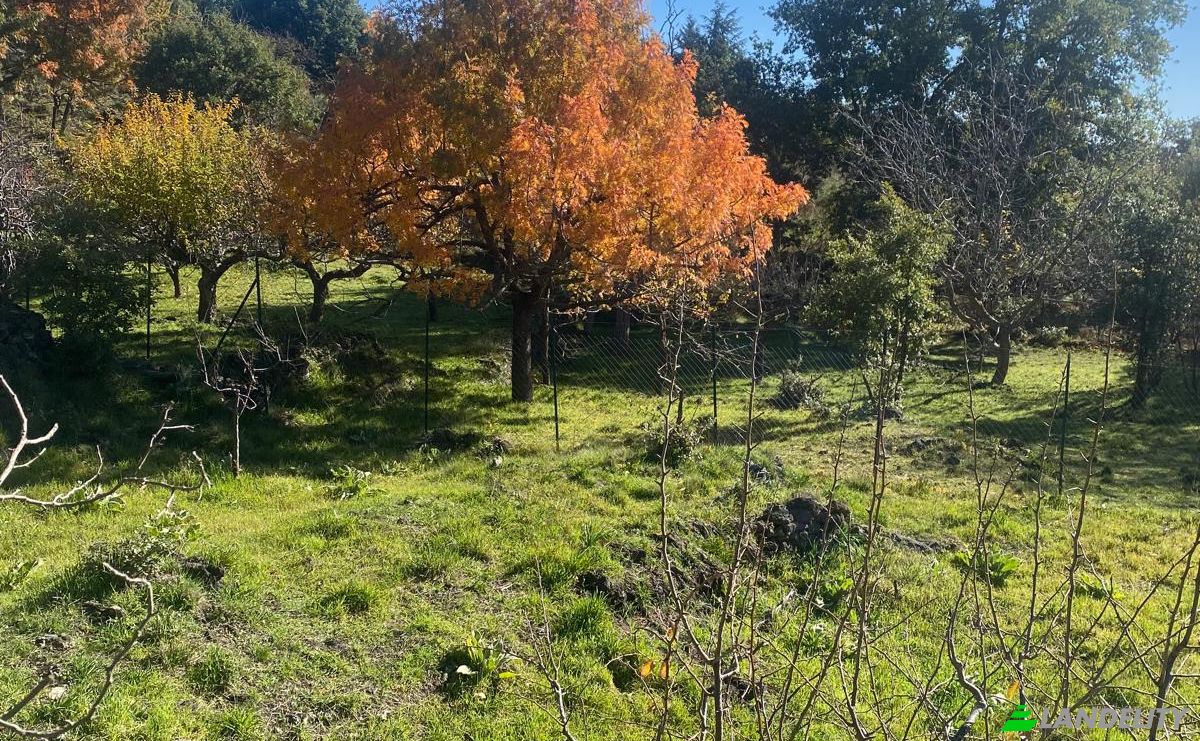Land Lot for Sale Str Milia, 95030 Ragalna CT, Ragalna, Metropolitan city of Catania, Sicily, Italy. Photo 14
