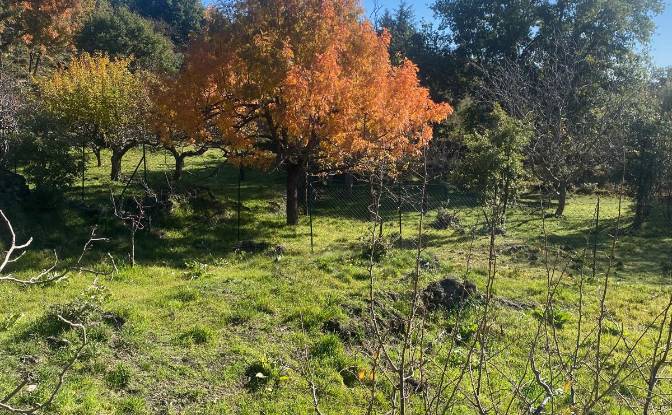 Land Lot for Sale Str Milia, 95030 Ragalna CT. Photo#14 Land Lot for Sale Str Milia, 95030 Ragalna CT. Photo#14