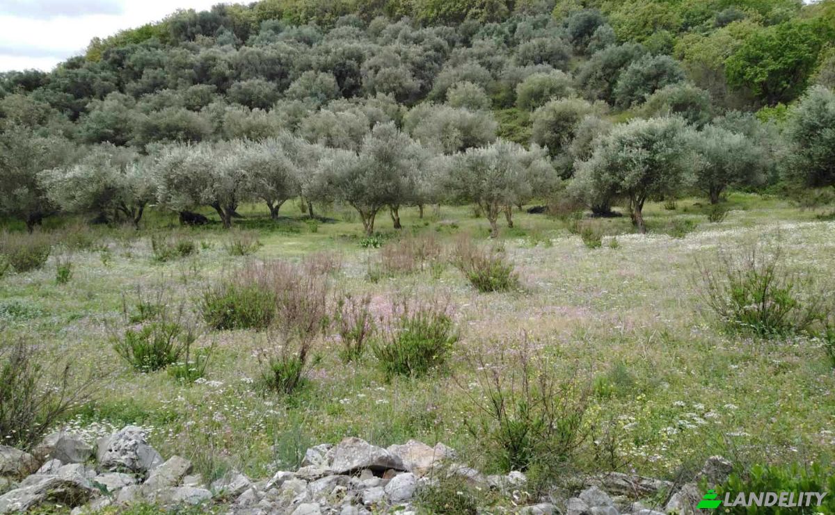 Land Lot for Sale Thinali 491 00, Acharavi, Ionian Islands, Decentralized Administration of Peloponnese, Western Greece and the Ionian, Greece. Photo 1