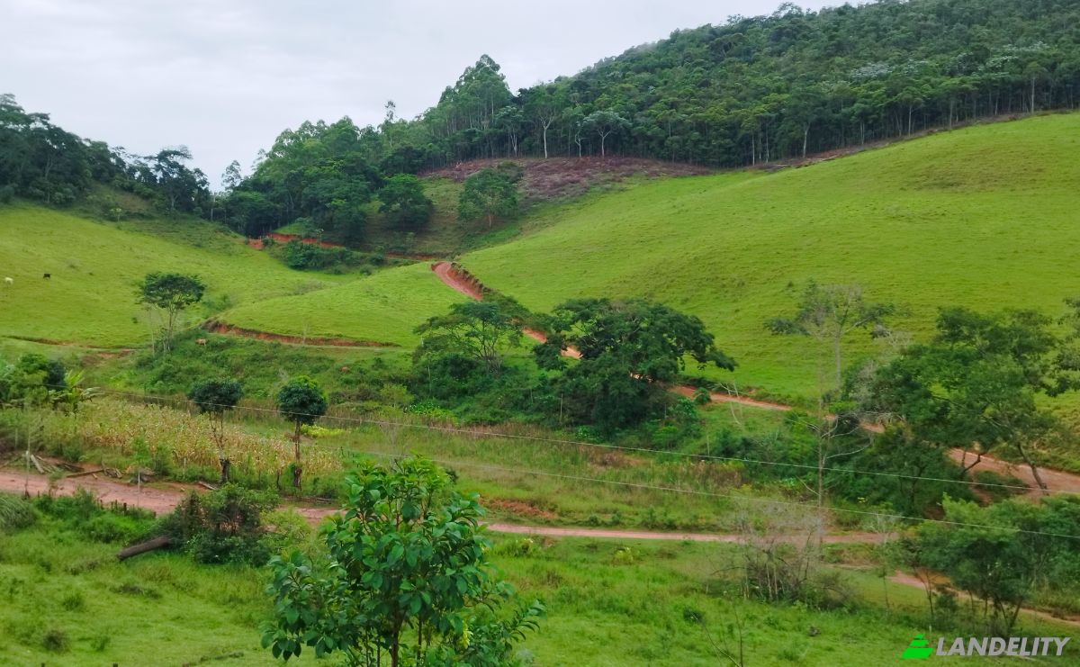 Farm/Ranch for Sale Estr Vieira Morais Maranhao Bernardo, Paula Candido, Porto Firme - State of Minas Gerais, Porto Firme, State of Minas Gerais, Brazil, 36568-000. Photo 1