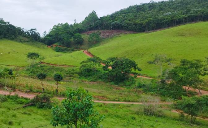 Farm/Ranch for Sale - Porto Firme - State of Minas Gerais, Brazil
