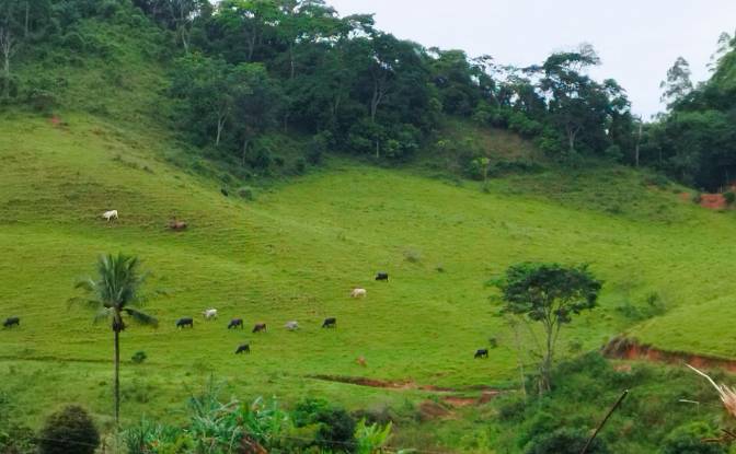 Farm/Ranch for Sale Estr Vieira Morais Maranhao. Photo#2