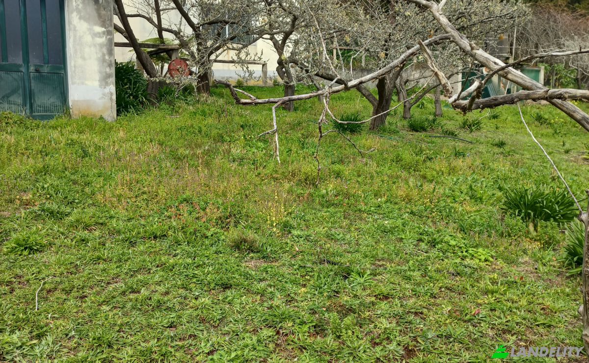 Land Lot for Sale Caminho do Lombo do Curral Velho 52, 9100-191 Santo Antonio da Serra, Santo Antonio da Serra, Santa Cruz, Madeira, Portugal. Photo 11