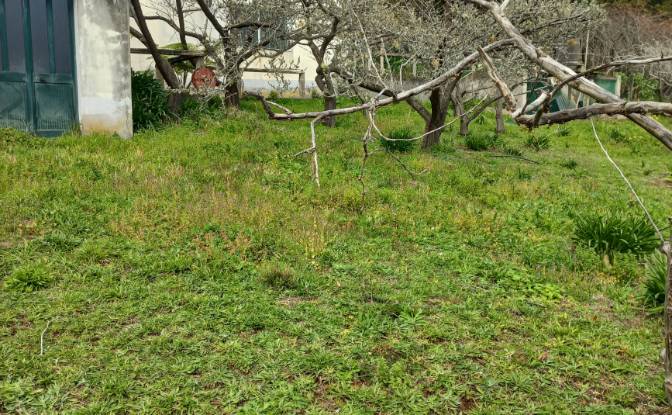 Land Lot for Sale Caminho do Lombo do Curral Velho. Photo#11