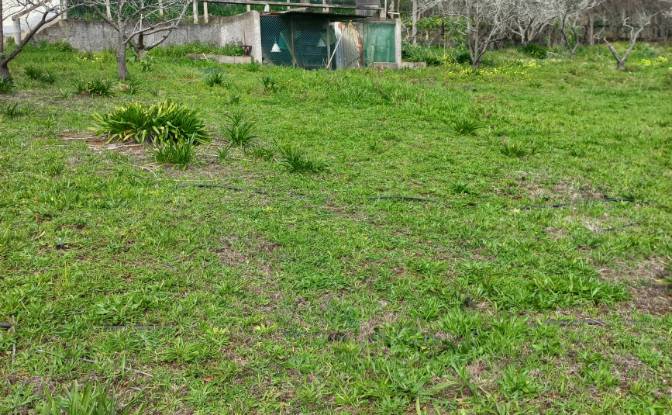 Land Lot for Sale Caminho do Lombo do Curral Velho. Photo#13