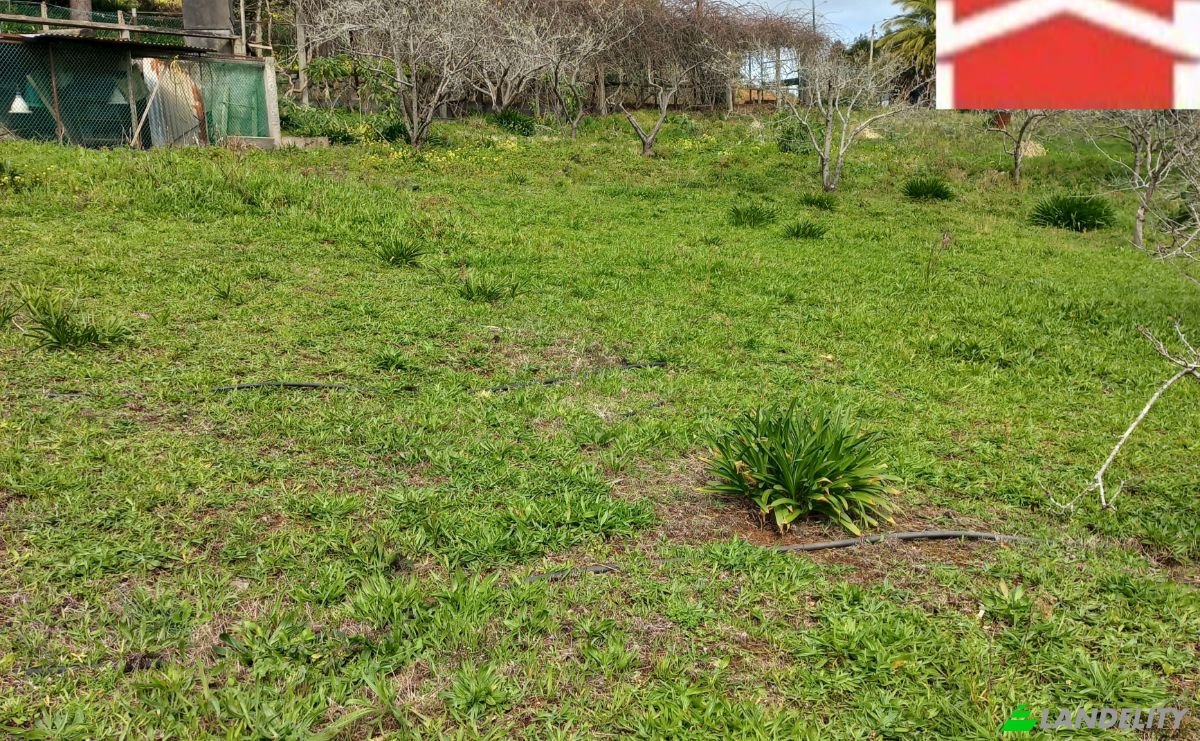 Land Lot for Sale Caminho do Lombo do Curral Velho 52, 9100-191 Santo Antonio da Serra, Santo Antonio da Serra, Santa Cruz, Madeira, Portugal. Photo 14