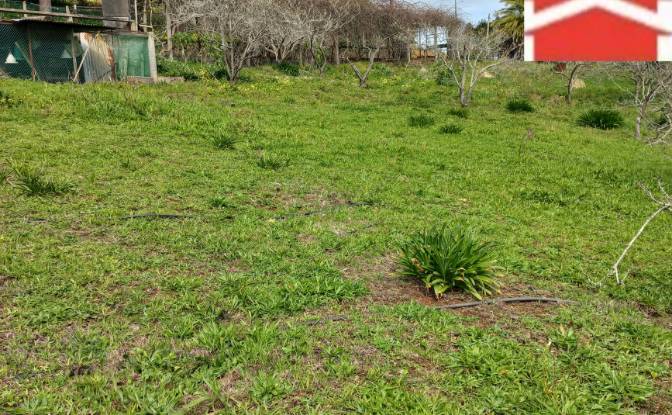 Land Lot for Sale Caminho do Lombo do Curral Velho. Photo#14