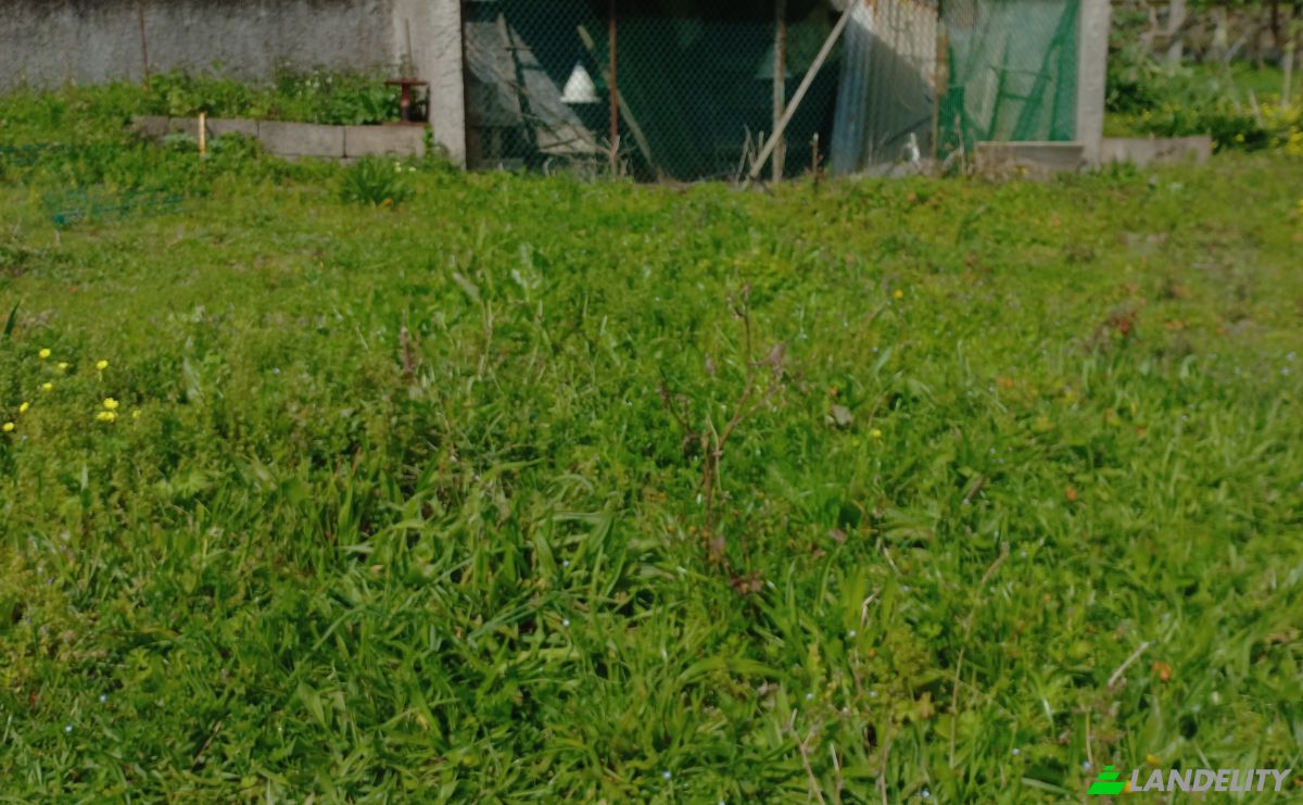 Land Lot for Sale Caminho do Lombo do Curral Velho 52, 9100-191 Santo Antonio da Serra, Santo Antonio da Serra, Santa Cruz, Madeira, Portugal. Photo 15