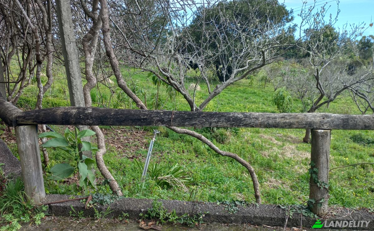 Land Lot for Sale Caminho do Lombo do Curral Velho 52, 9100-191 Santo Antonio da Serra, Santo Antonio da Serra, Santa Cruz, Madeira, Portugal. Photo 6