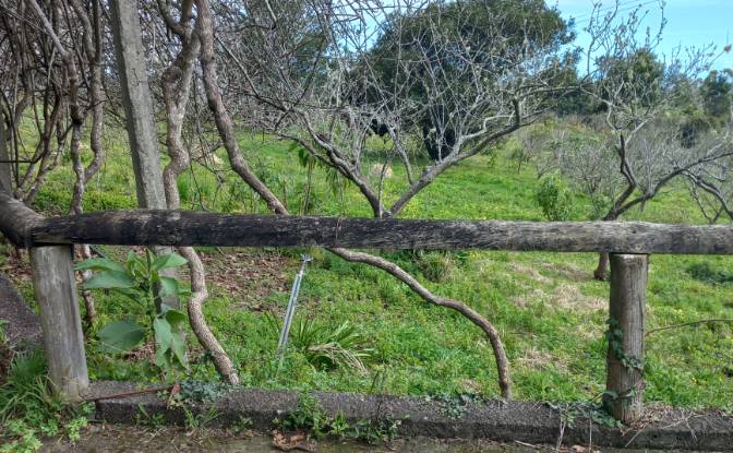 Land Lot for Sale Caminho do Lombo do Curral Velho. Photo#6