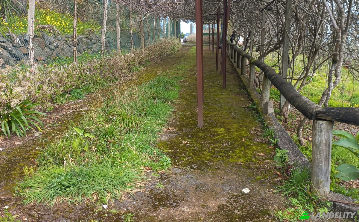 Land Lot for Sale Caminho do Lombo do Curral Velho 52, 9100-191 Santo Antonio da Serra, Santo Antonio da Serra, Santa Cruz, Madeira, Portugal. Photo 1