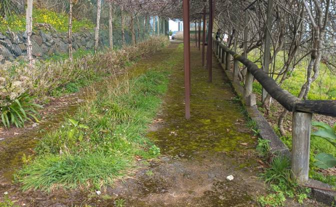 Land Lot for Sale - Santo Antonio da Serra, Portugal