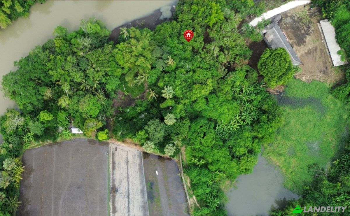 Land Lot for Sale Sudimara, Tabanan Regency, Bali, Indonesia, Tabanan. Photo 6