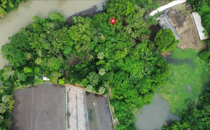 Land Lot for Sale Sudimara, Tabanan Regency, Bali. Photo#6 Land Lot for Sale Sudimara, Tabanan Regency, Bali. Photo#6