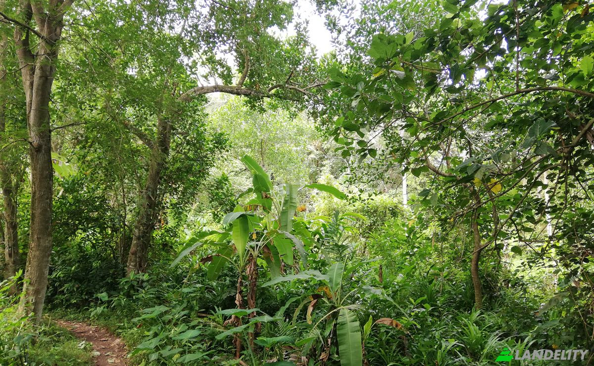 Land Lot for Sale Jl Yeh Gangga I No45, Sudimara, Tabanan Regency, Bali, Indonesia, Kec Tabanan, Kabupaten Tabanan. Photo 10