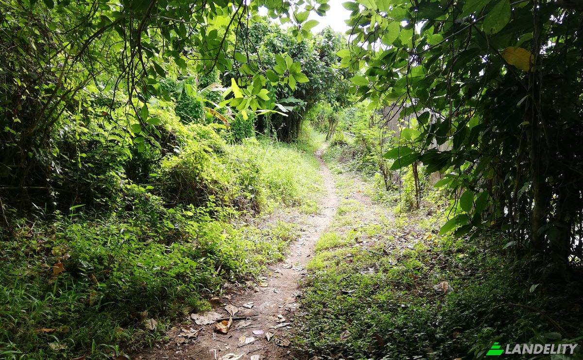Land Lot for Sale Jl Yeh Gangga I No45, Sudimara, Tabanan Regency, Bali, Indonesia, Kec Tabanan, Kabupaten Tabanan. Photo 11