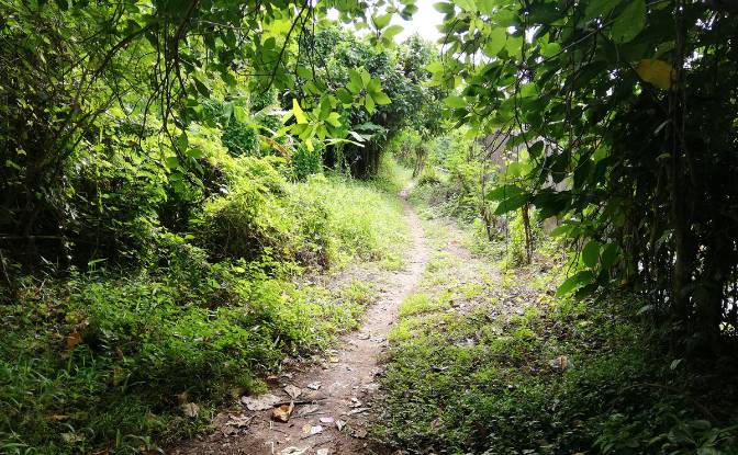 Land Lot for Sale Jl Yeh Gangga I No45, Sudimara. Photo#11 Land Lot for Sale Jl Yeh Gangga I No45, Sudimara. Photo#11
