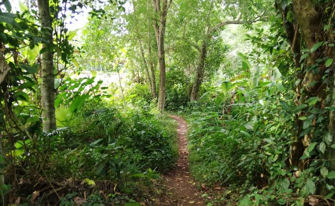 Land Lot for Sale Jl Yeh Gangga I No45, Sudimara. Photo#8 Land Lot for Sale Jl Yeh Gangga I No45, Sudimara. Photo#8