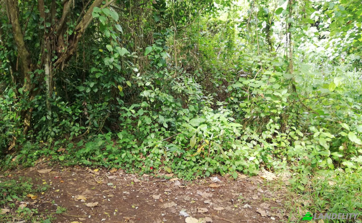 Land Lot for Sale Jl Yeh Gangga I No45, Sudimara, Tabanan Regency, Bali, Indonesia, Kec Tabanan, Kabupaten Tabanan. Photo 9