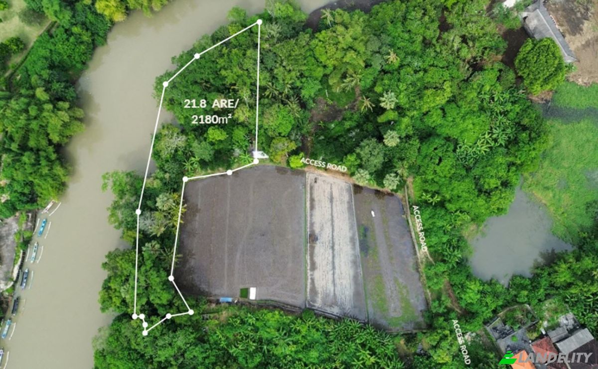 Land Lot for Sale Jl Kebo Iwa, Pangkung Tibah, Kec Kediri, Kabupaten Tabanan, Sudimara, Tabanan Regency, Bali, Indonesia. Photo 1