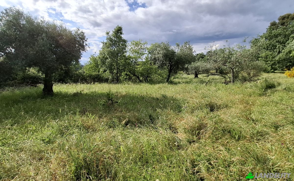 Land Lot for Sale 6090 Salvador, Salvador, Penamacor, Castelo Branco District, Portugal. Photo 7