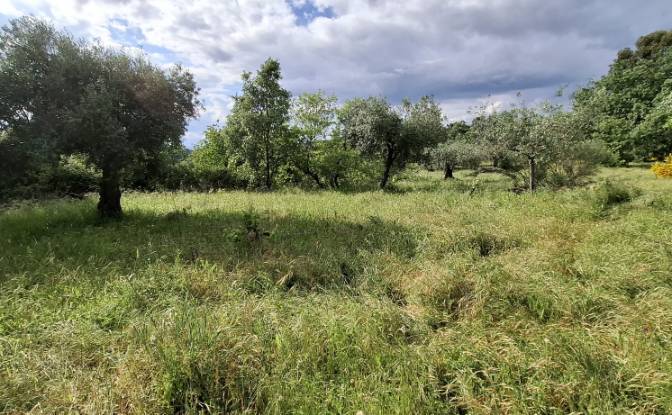 Land Lot for Sale 6090 Salvador, Salvador. Photo#7