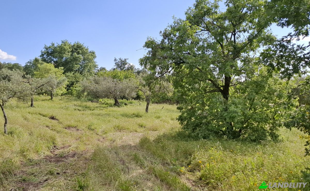 Land Lot for Sale 6090 Salvador, Salvador, Penamacor, Castelo Branco District, Portugal. Photo 1