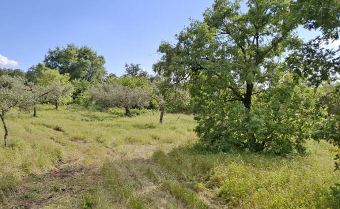 Land Lot for Sale - Salvador, Portugal