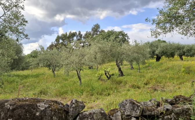 Land Lot for Sale 6090 Salvador, Salvador. Photo#9