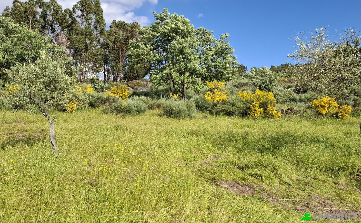 Land Lot for Sale 6090 Salvador, Salvador, Penamacor, Castelo Branco District, Portugal. Photo 10