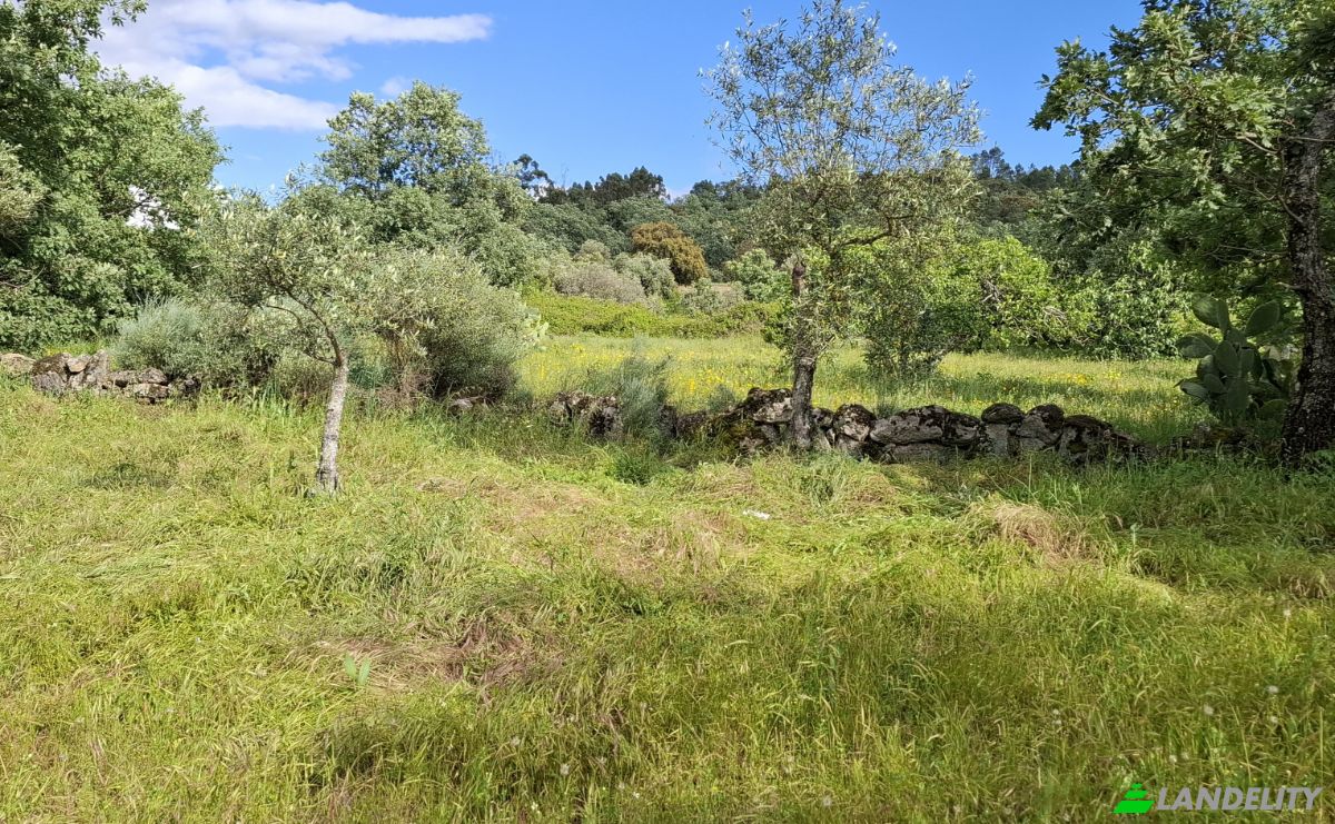 Land Lot for Sale 6090 Salvador, Salvador, Penamacor, Castelo Branco District, Portugal. Photo 11