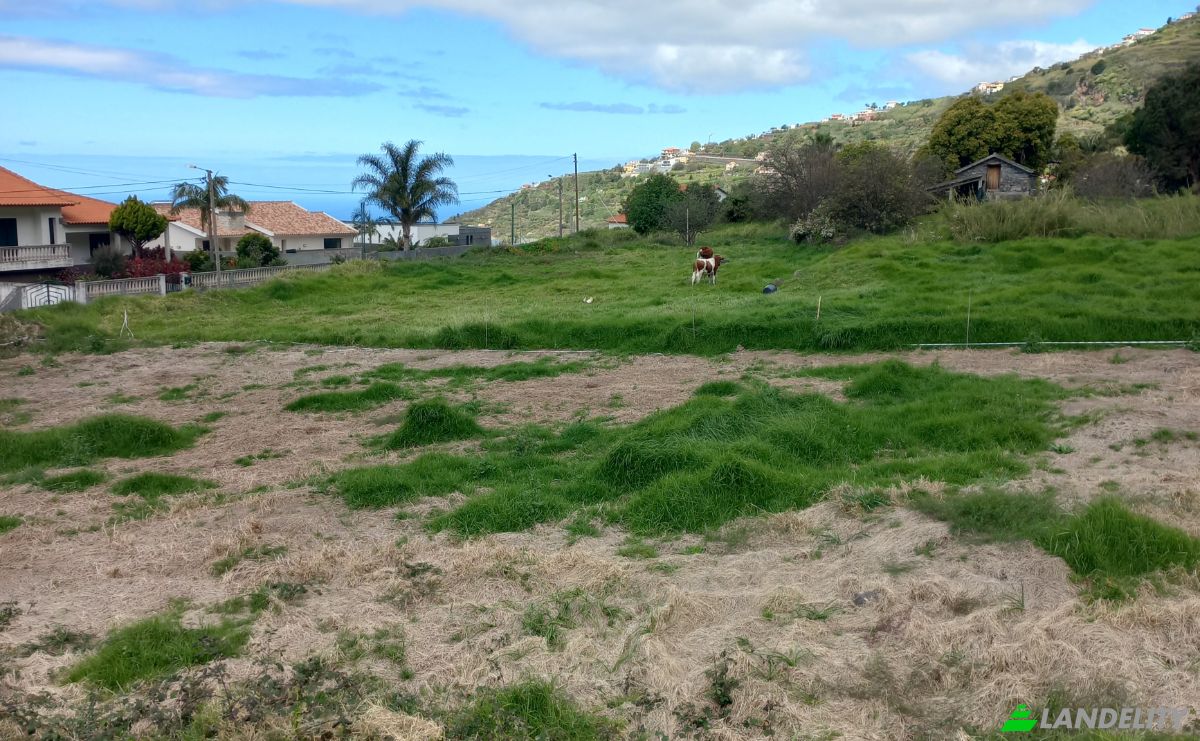 Single Family Home for Sale ER222 165, 9370-052 Arco da Calheta, Arco da Calheta, Calheta, Madeira, Portugal. Photo 6