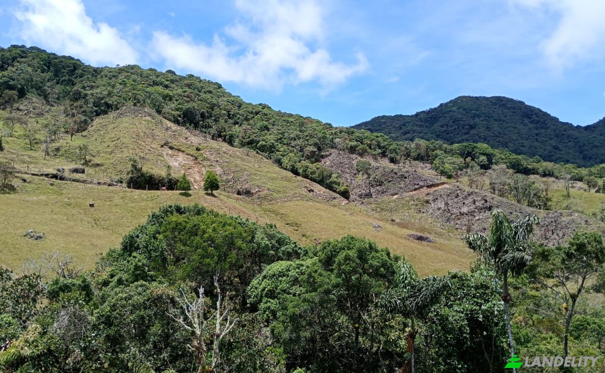 Investing/Development for Sale Via Sin Nombre, Abejorral, Antioquia, Colombia. Photo 2