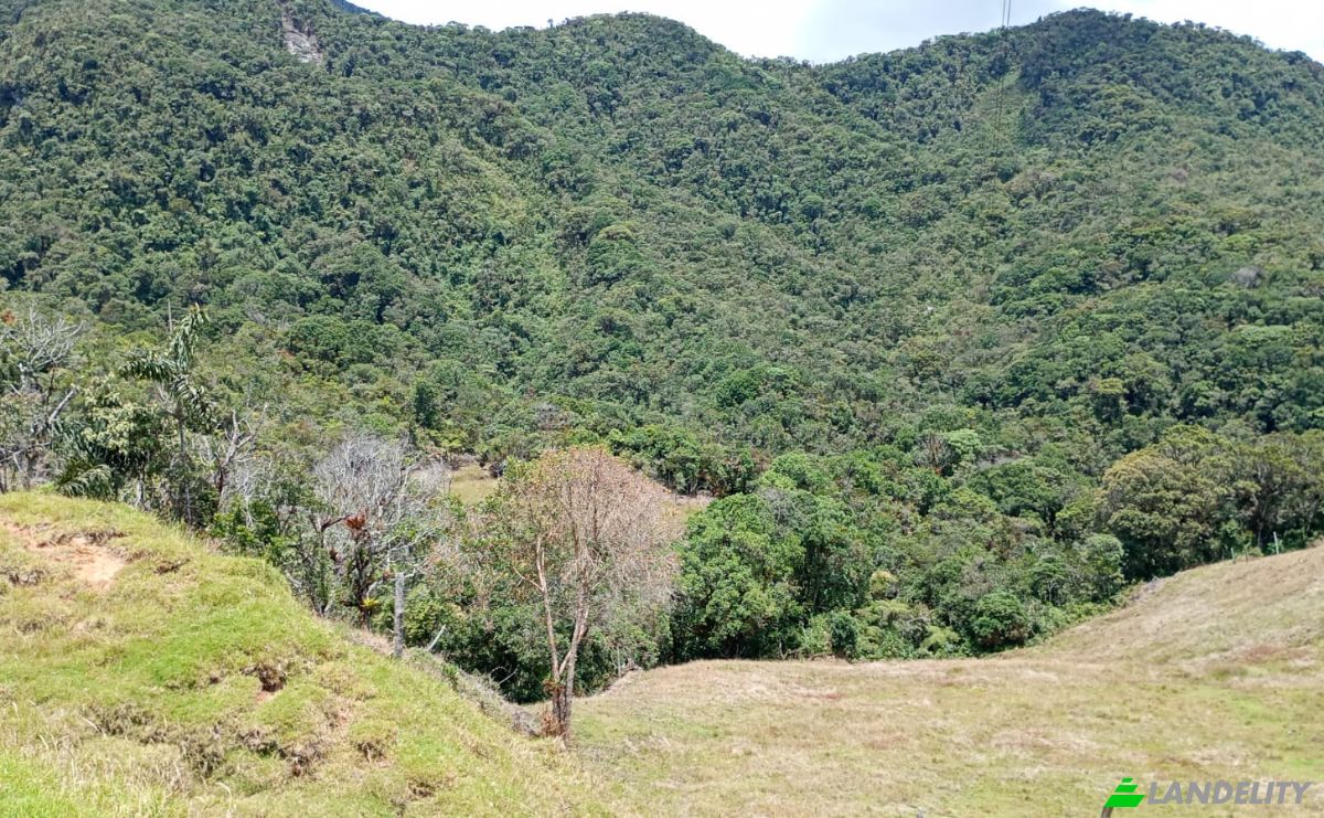 Investing/Development for Sale Via Sin Nombre, Abejorral, Antioquia, Colombia. Photo 3