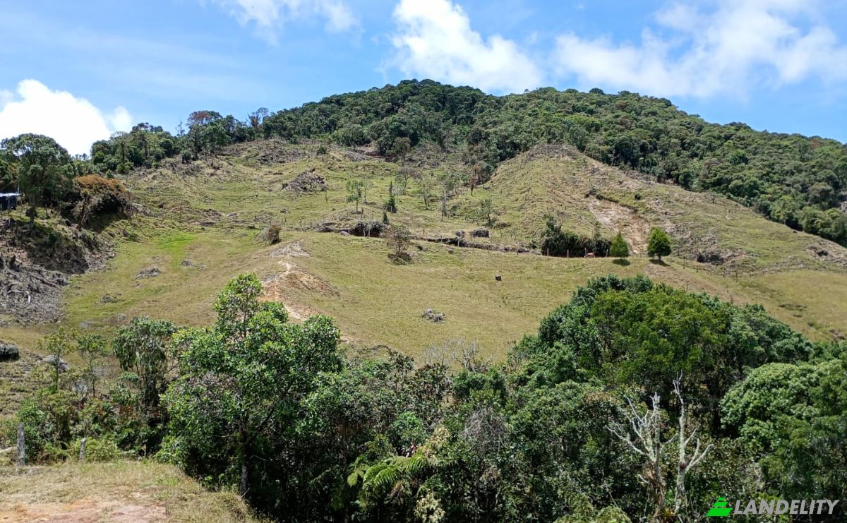 Investing/Development for Sale Via Sin Nombre, Abejorral, Antioquia, Colombia. Photo 4