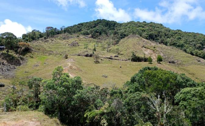 Investing/Development for Sale Via Sin Nombre. Photo#4 Investing/Development for Sale Via Sin Nombre. Photo#4