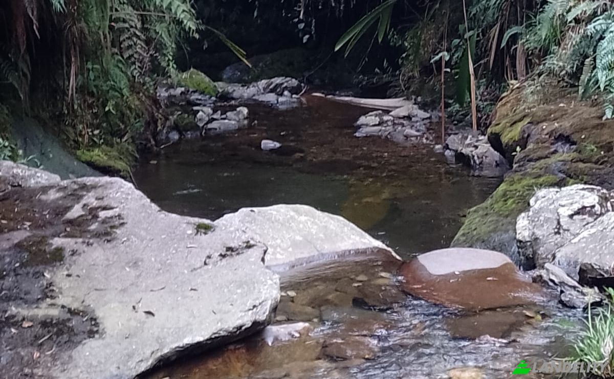 Investing/Development for Sale Via Sin Nombre, Abejorral, Antioquia, Colombia. Photo 5