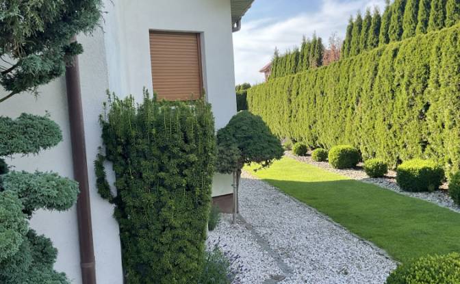 Dubbelzijdig Te koop Osiek 64E, 87-125, Obory. Foto#3
