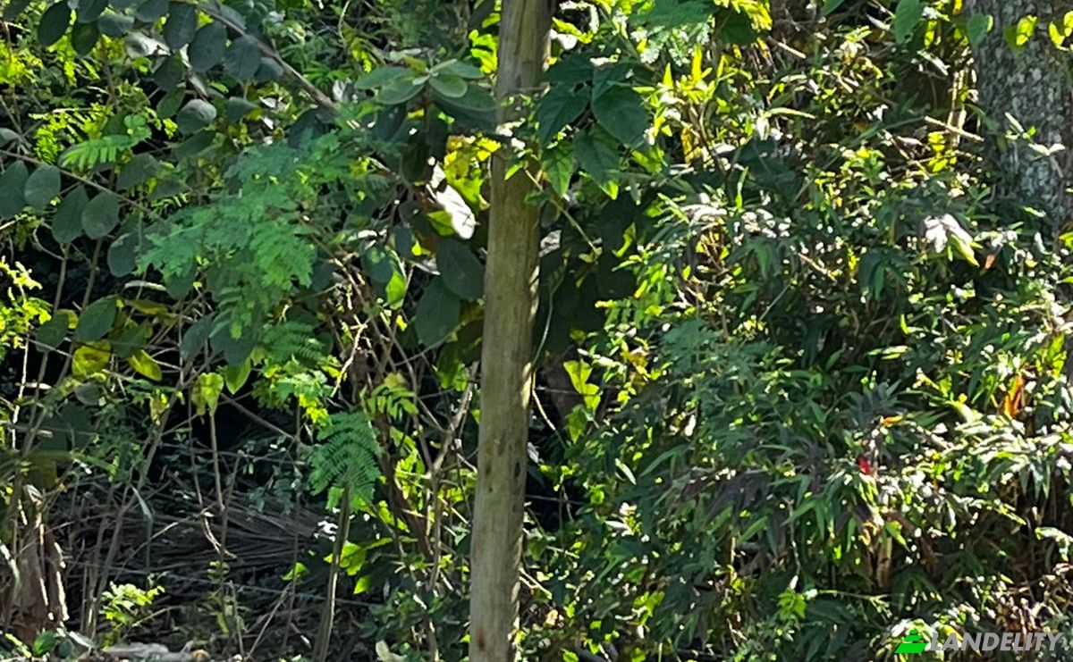 Land Lot for Sale R Macaranduba, 183, Rec Profetas, Serra, State of Espirito Santo, Brazil, 29173-023. Photo 7
