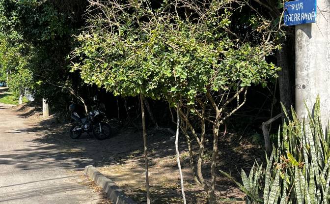 Land Lot for Sale R Macaranduba, 183, Rec Profetas. Photo#8 Land Lot for Sale R Macaranduba, 183, Rec Profetas. Photo#8