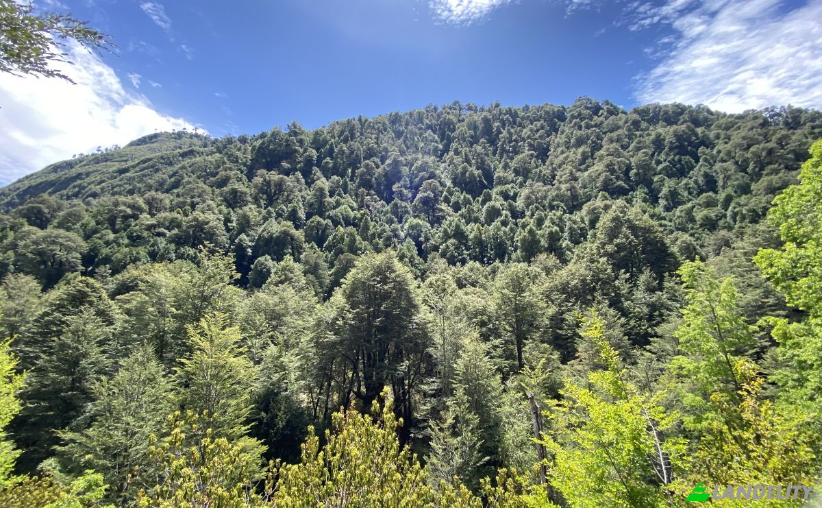 Land Lot for Sale Pucon, Cautin Province, Araucania, Chile. Photo 7