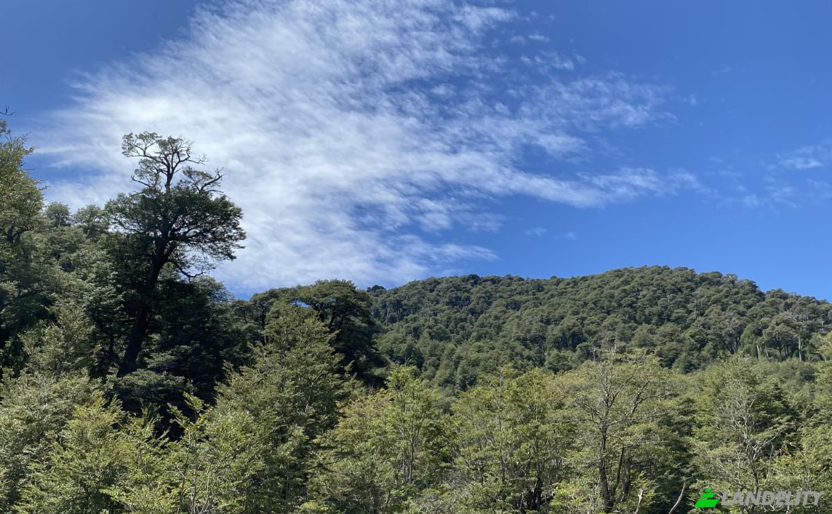 Land Lot for Sale Pucon, Cautin Province, Araucania, Chile. Photo 8