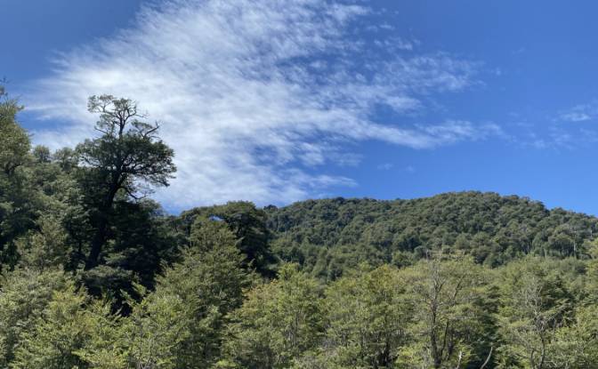 Land Lot for Sale Pucon, Cautin Province. Photo#8 Land Lot for Sale Pucon, Cautin Province. Photo#8