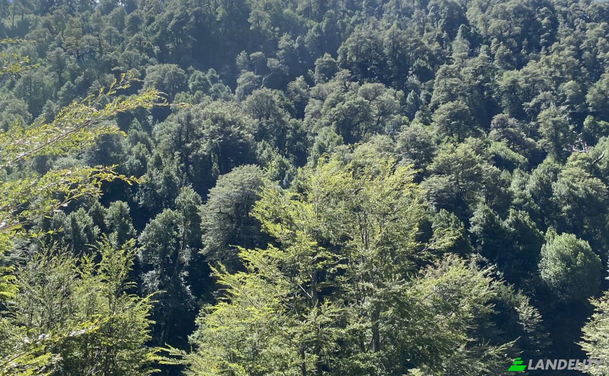 Land Lot for Sale Pucon, Cautin Province, Araucania, Chile. Photo 9