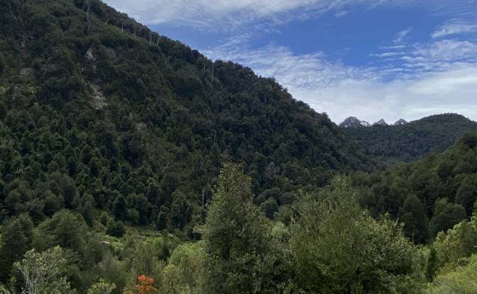 Land Lot for Sale Pucon, Cautin Province. Photo#1 Land Lot for Sale Pucon, Cautin Province. Photo#1